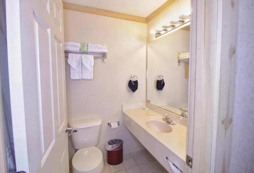 اتاق استاندارد با تخت بزرگ, Paddle Wheel Inn