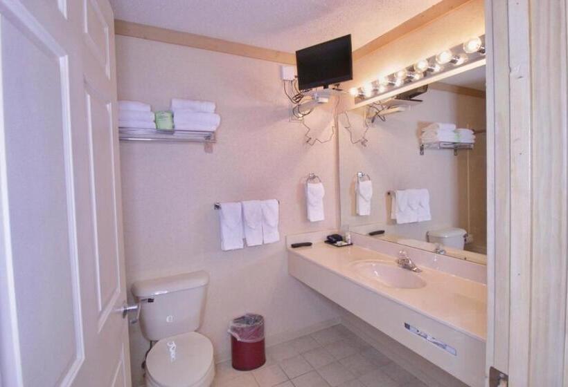 سوئیت با وان آب گرم, Paddle Wheel Inn