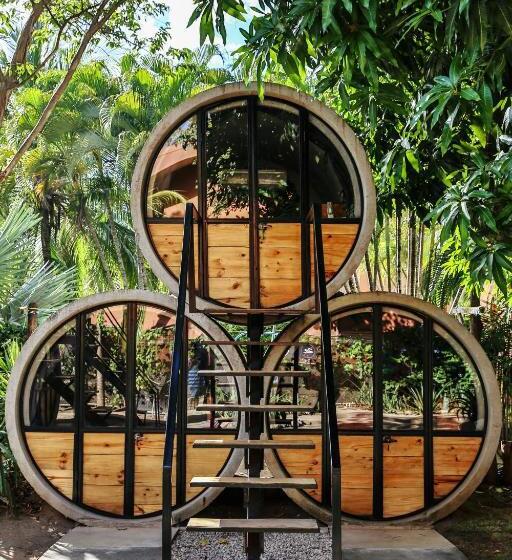 اتاق استاندارد, Pipe House Playa Grande