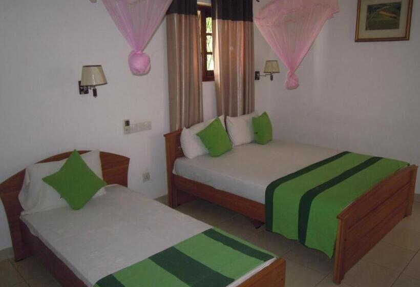 اتاق لوکس سه تخته, Devi Tourist Home