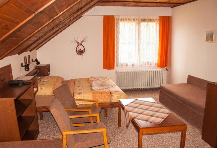 标准间, Privát   Harrachov 392