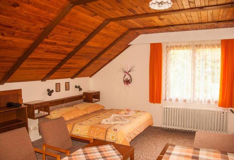 标准间, Privát   Harrachov 392