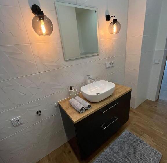 استودیوی استاندارد, Viesu Nams Pupa