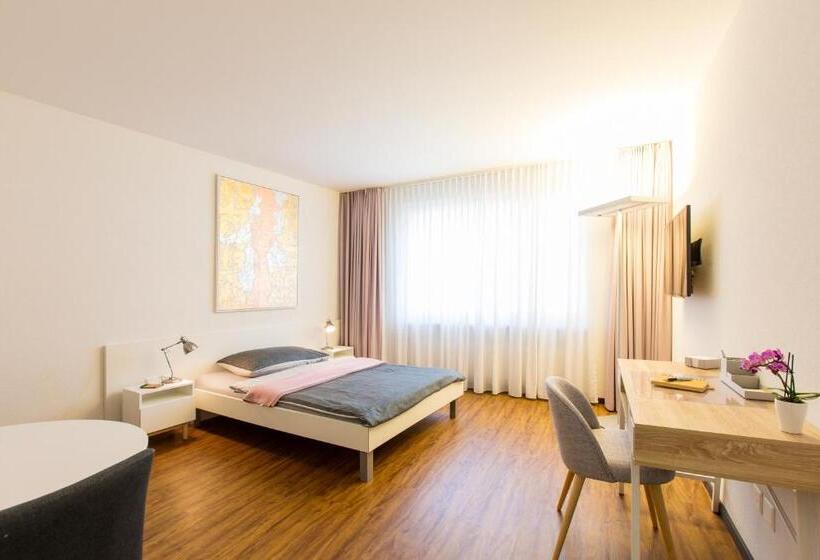 اتاق استاندارد یک نفره, Apartmenthaus Zum Trillen Basel City Center
