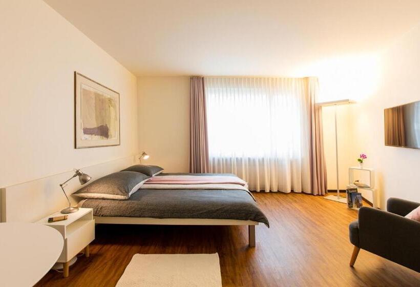آپارتمان 1 خوابه, Apartmenthaus Zum Trillen Basel City Center