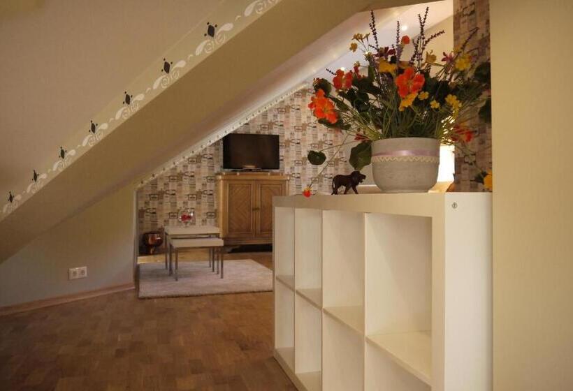 1 Bedroom Penthouse Apartment, Apartments Livia