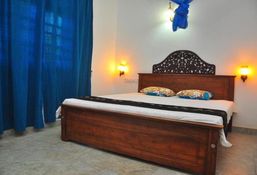 اتاق لوکس, Guest House Basilea