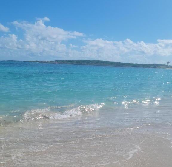 آپارتمان 1 خوابه با بالکن و چشم‌انداز دریا, Orient Bay Beach Studio