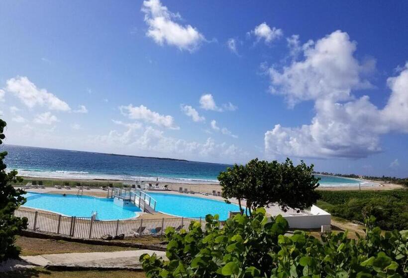 آپارتمان 1 خوابه با بالکن و چشم‌انداز دریا, Orient Bay Beach Studio