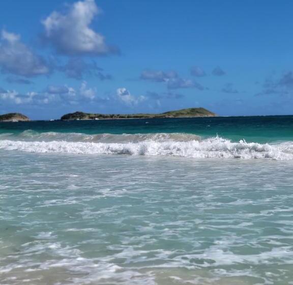 آپارتمان 1 خوابه با بالکن و چشم‌انداز دریا, Orient Bay Beach Studio