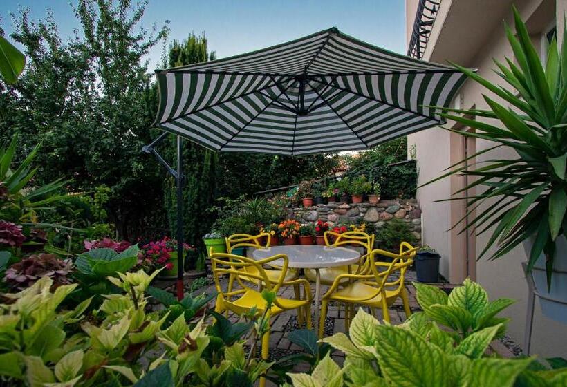 استودیو استاندارد با تراس, Bitrak Guest House