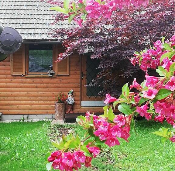 آپارتمان 1 خوابه با چشم‌انداز باغ, Guest House Kveder