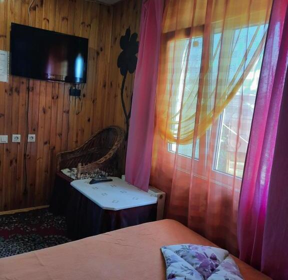 اتاق اکونومی, Kitech Guest House