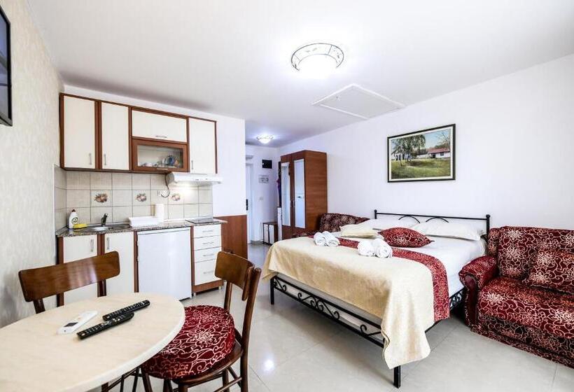 استودیو خانوادگی, Sunčani Breg Apartments Vrdnik