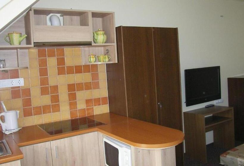 استودیو استاندارد با بالکن, Pálma Apartmanház Harkány
