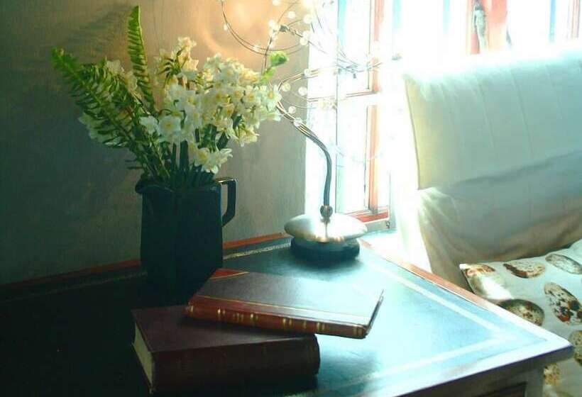 سوئیت خانواده 2 خوابه, Boord Guest House