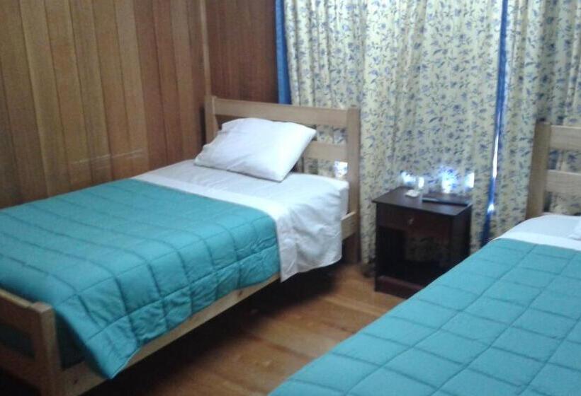 اتاق استاندارد با سرویس بهداشتی مشترک, Hostal Kutralwe