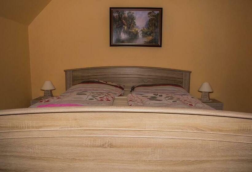اتاق استاندارد یک نفره, Restaurace A Pension První Mlýn Chomutov
