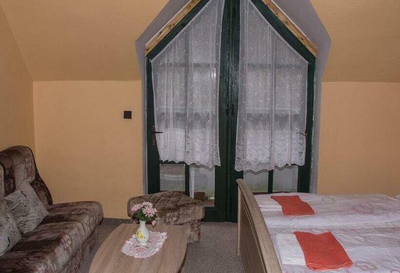 اتاق استاندارد یک نفره, Restaurace A Pension První Mlýn Chomutov