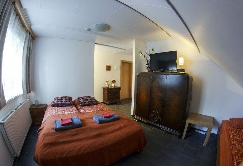 استودیوی استاندارد, Selfoss Apartments