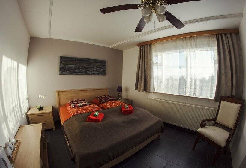 اتاق لوکس, Selfoss Apartments