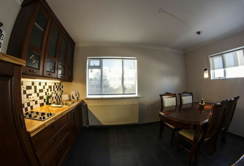 آپارتمان سوپریور 1 خوابه, Selfoss Apartments