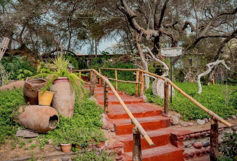 اتاق استاندارد, Rochabus