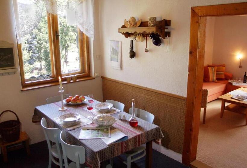آپارتمان 1 خوابه با چشم‌انداز باغ, Apartment At Sedliacky Dvor   Brezno