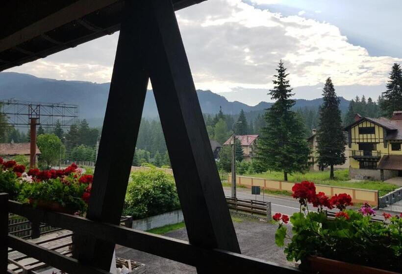 青年复式套间, Timis Valley, Casa Eni&dan