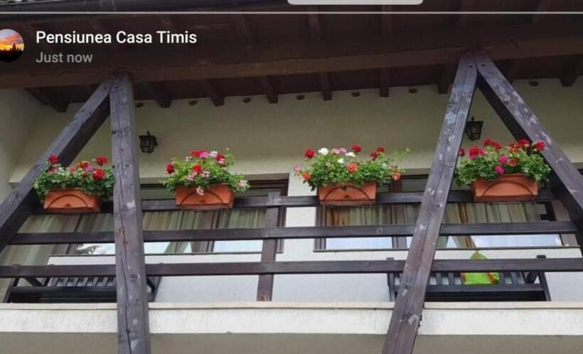 青年复式套间, Timis Valley, Casa Eni&dan
