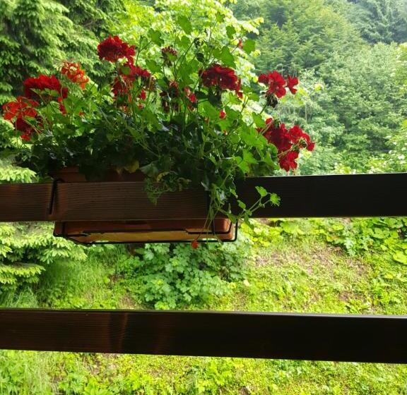 古典房间, Timis Valley, Casa Eni&dan