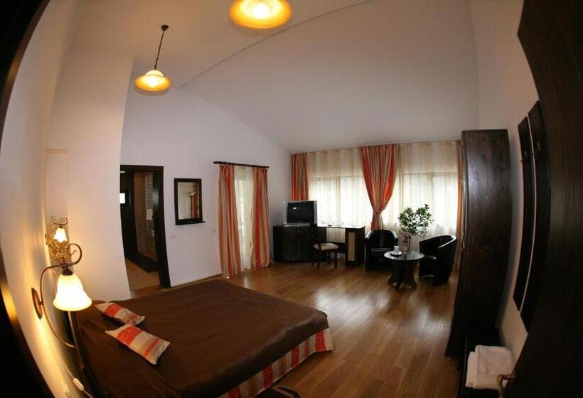 标准间带阳台, Timis Valley, Casa Eni&dan