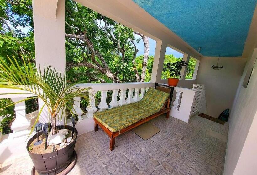 آپارتمان 3 خوابه, Green's Palace Jamaica