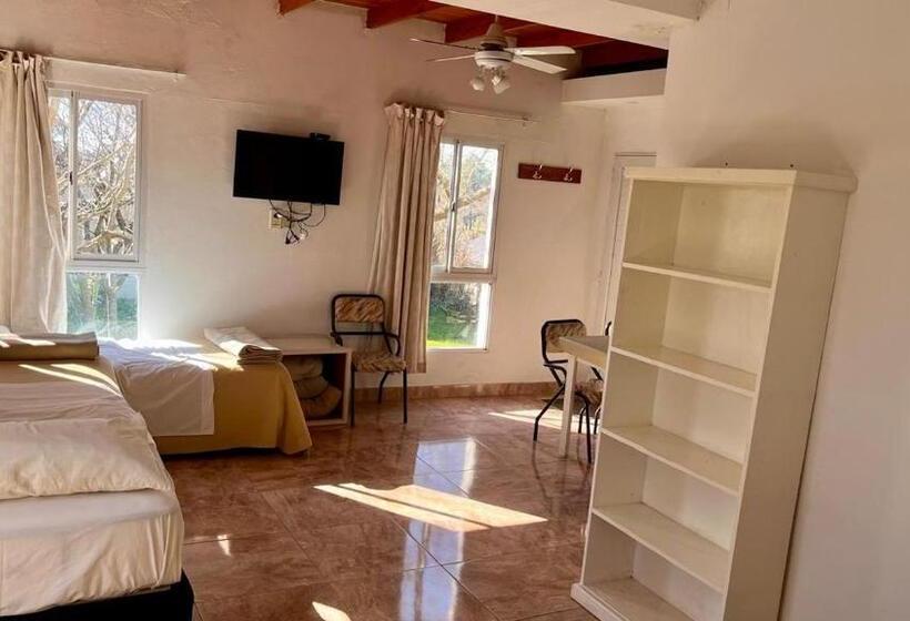 اتاق استاندارد چهار تخته, Rio Termal