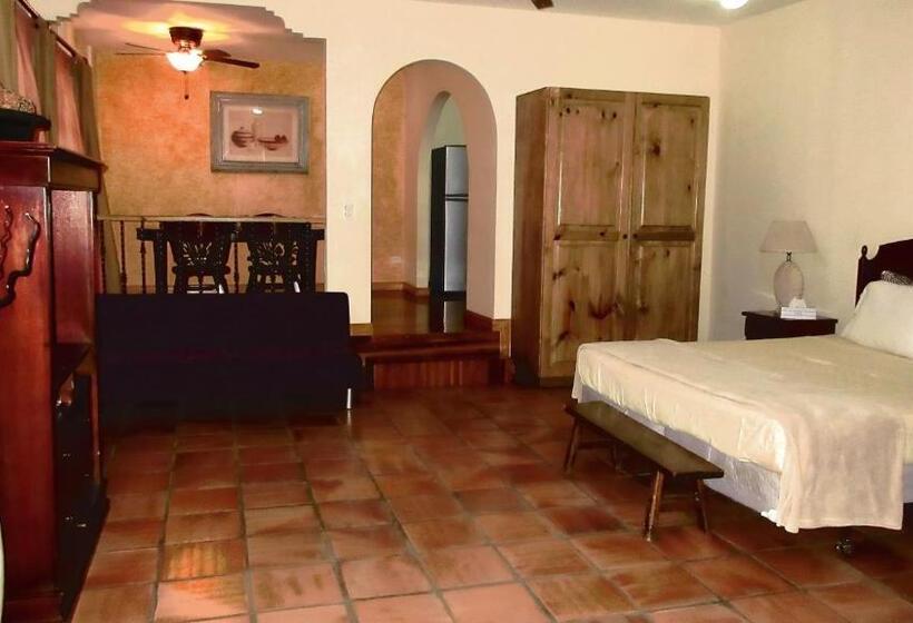 آپارتمان سوپریور 1 خوابه, Apartotel Don Francisco