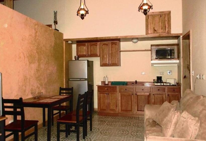 آپارتمان سوپریور 1 خوابه, Apartotel Don Francisco