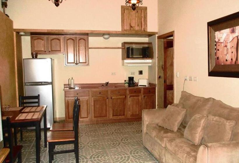 آپارتمان سوپریور 1 خوابه, Apartotel Don Francisco