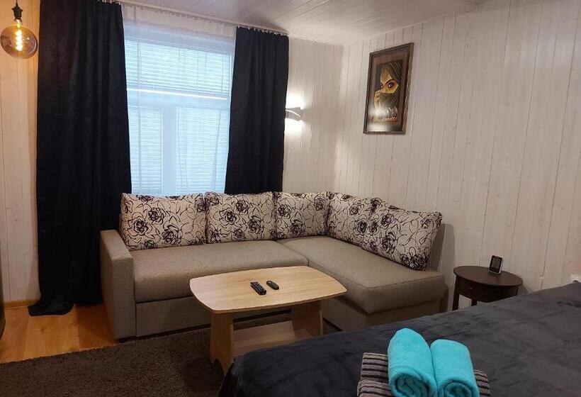 اتاق خانوادگی, Aare Accommodation