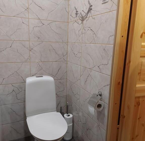 اتاق خانوادگی, Aare Accommodation