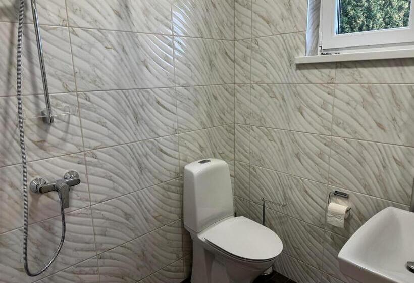 اتاق لوکس خانوادگی, Aare Accommodation