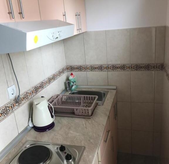آپارتمان 2 خوابه با چشم‌انداز دریا, Apartments Pavićević