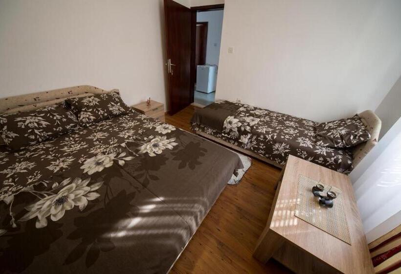 اتاق استاندارد سه تخته با سرویس بهداشتی مشترک, Apartments Pavićević