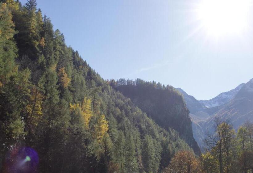 آپارتمان 3 خوابه, Birkenheim Widmann