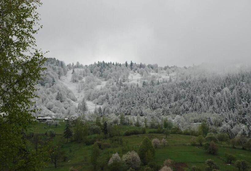 کلبه ییلاقی, Kraevyd