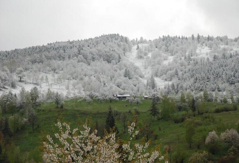 کلبه ییلاقی, Kraevyd