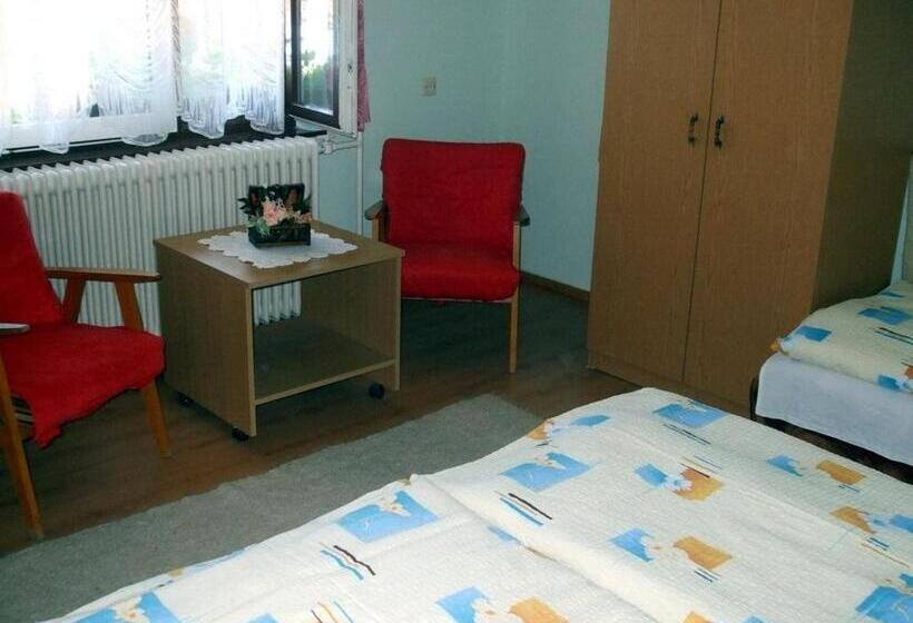 اتاق استاندارد سه تخته با سرویس بهداشتی مشترک, Lugas Szallas