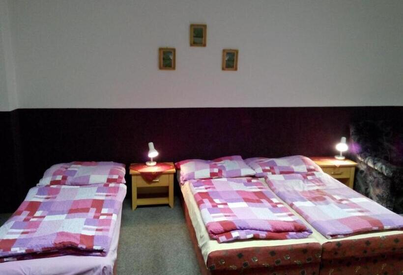 اتاق استاندارد چهار تخته, Penzion Poprda