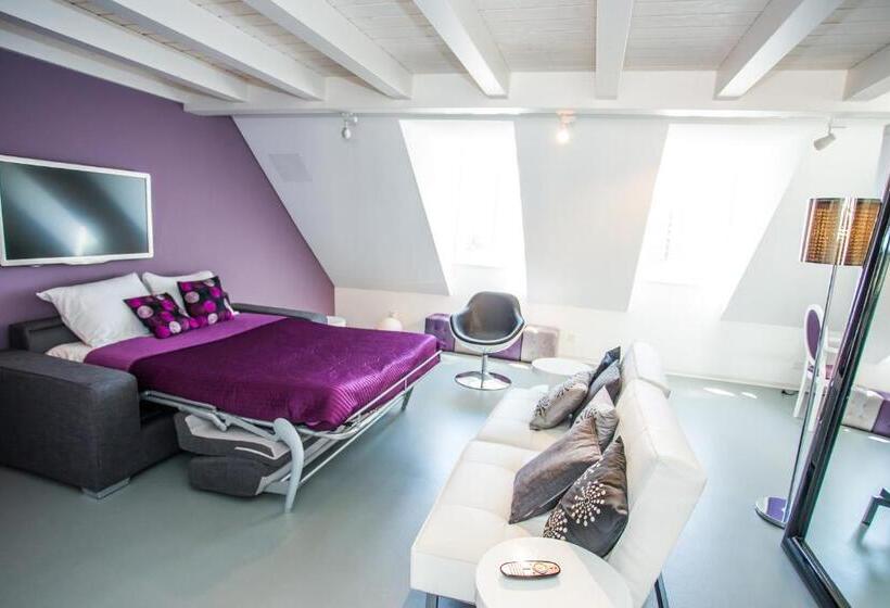 آپارتمان دوبلکس 1 خوابه, Guest House Le Charlot