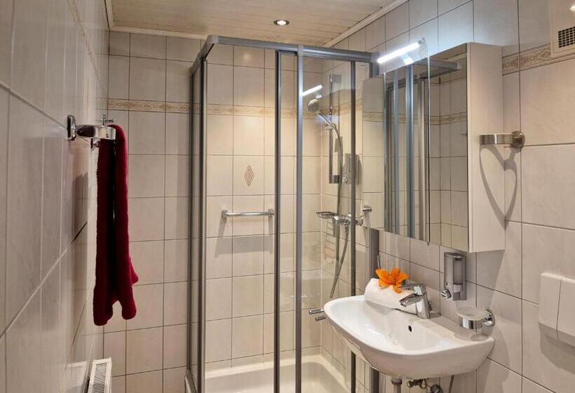 اتاق استاندارد با بالکن, Alpenpension Gastein