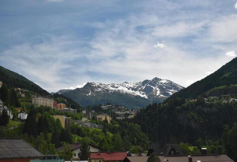 اتاق سوپریور, Alpenpension Gastein